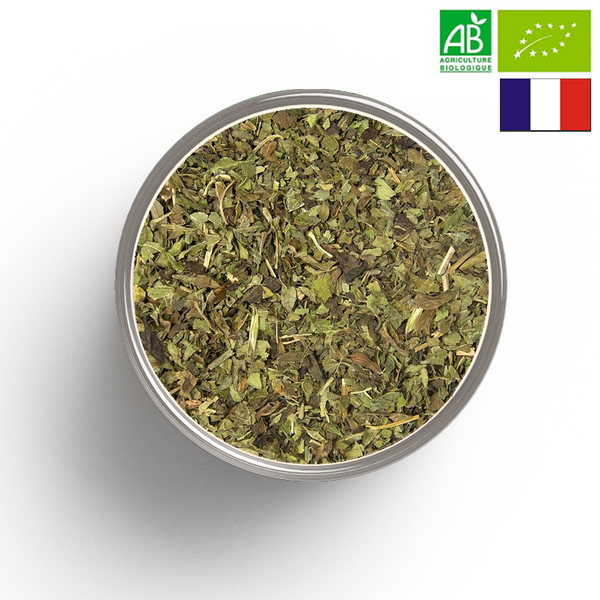 MELISSE cut leaf ORGANIC - Origin FRANCE