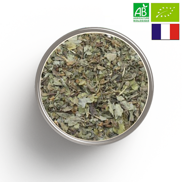 BASILIC leaves ORGANIC - Origin FRANCE