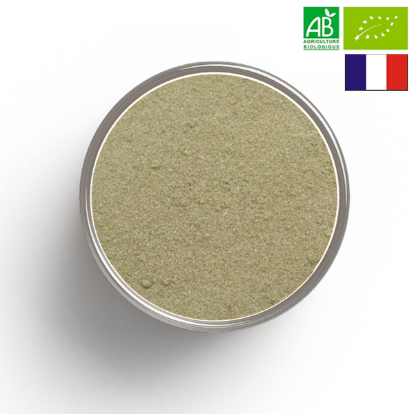 ORGANIC SAUGE leaf powder - Origin FRANCE