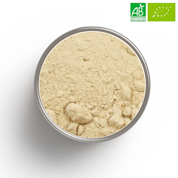 ORGANIC GINGER rhizome powder