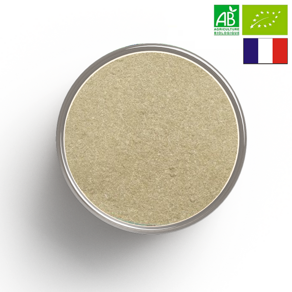 REINE DES PRES flowering tops organic powder - Origin FRANCE