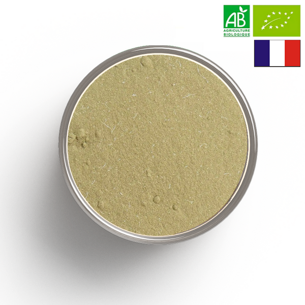 ARTICHAUT leaf powder ORGANIC - Origin FRANCE