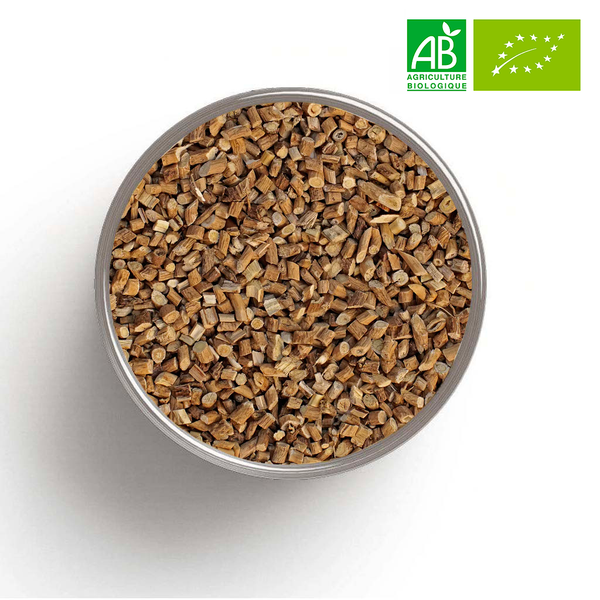 ASTRAGALE organic root