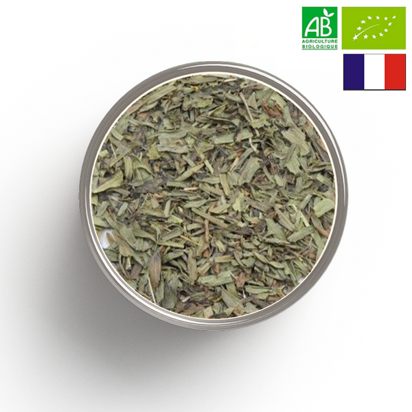 ESTRAGON leaf ORGANIC - Origin FRANCE