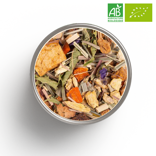 Infusion fruitée Mini Moon BIO en vrac