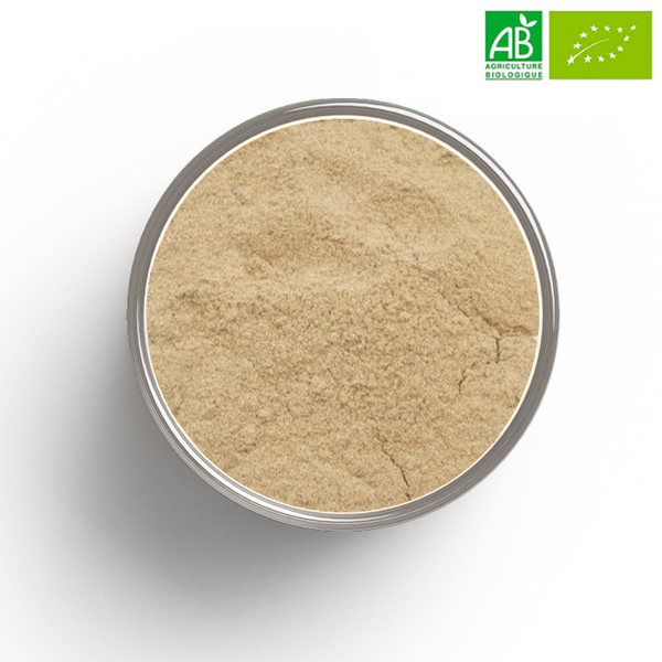 CARDAMOME fruit powder ORGANIC