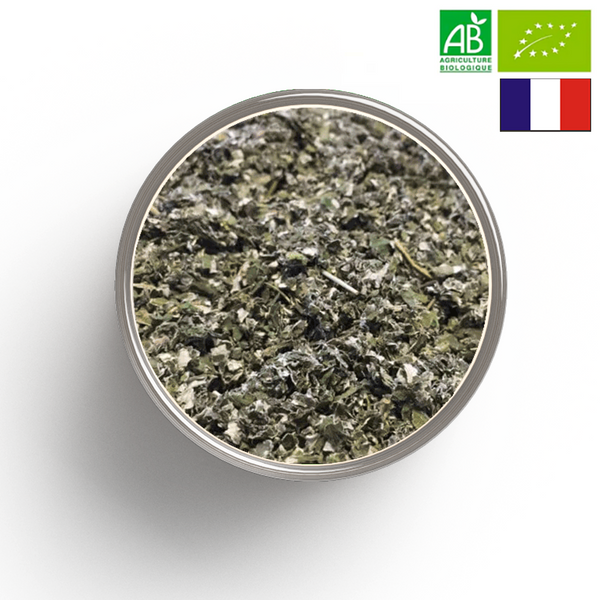 FRAMBOISER cut leaf ORGANIC - Origin FRANCE