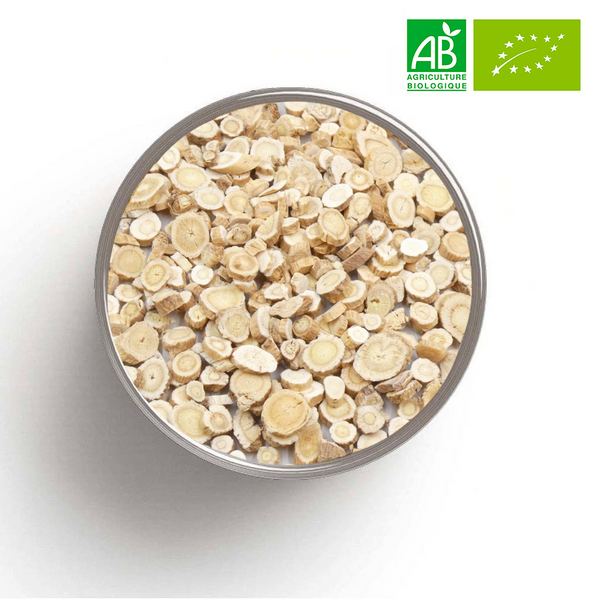 ASTRAGALE organic root