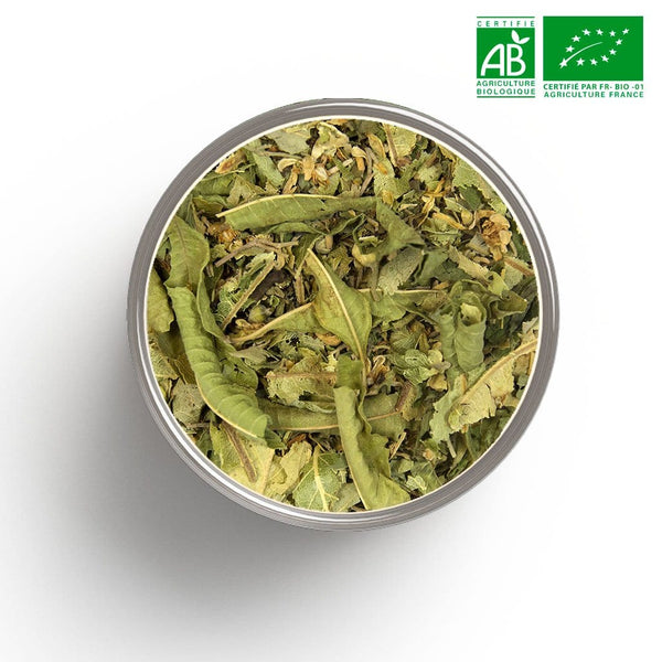 Herbal tea from the south (linden, verbena, mint) Organic in bulk