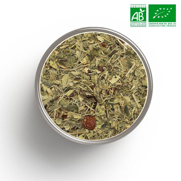 Organic herbal fountain tea in bulk