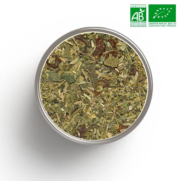 Organic diet expert herbal tea in bulk