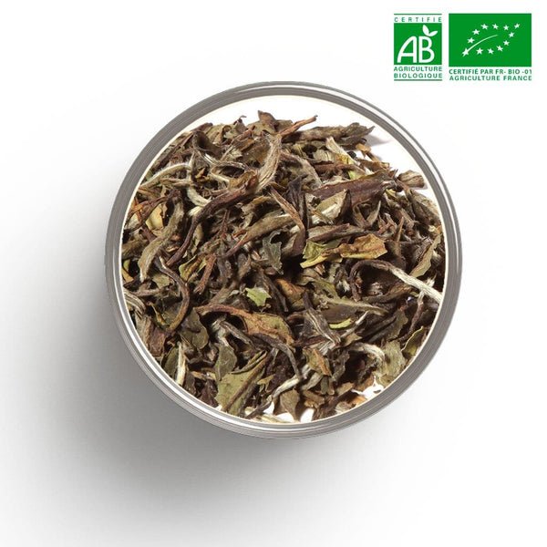 China pai mu tan organic white tea in bulk