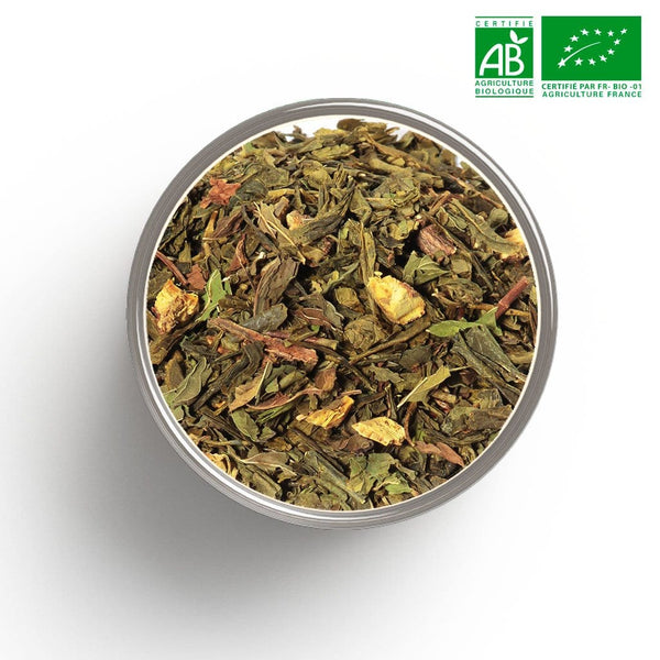 Organic green tea sorbet detox (Mint, liquorice) in bulk