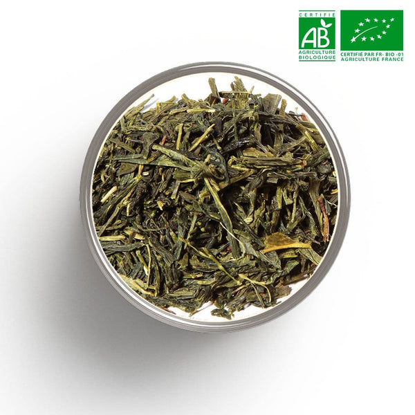 China Sencha Green Tea Grade 1 Dao Ren Feng Organic in bulk
