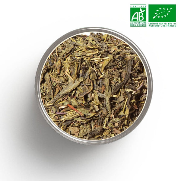 Organic green tea Diabolo (Mint) in bulk