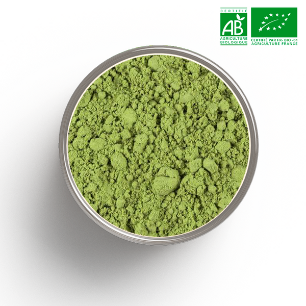 Organic Moga Cha green tea in bulk bag 100 g